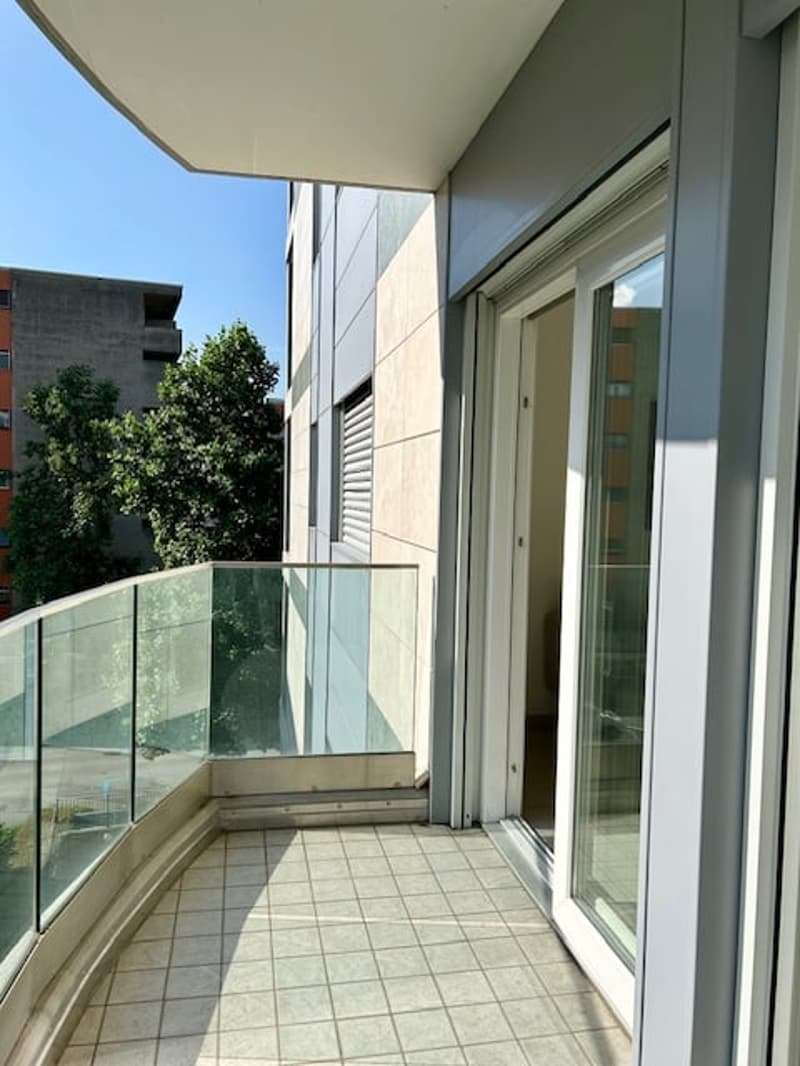 ZONA CASSARATE - 3.5 LOCALI ARREDATO (14)
