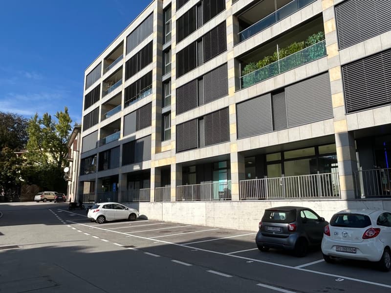 Locale Commerciale a Massagno – Disponibile Subito (2)