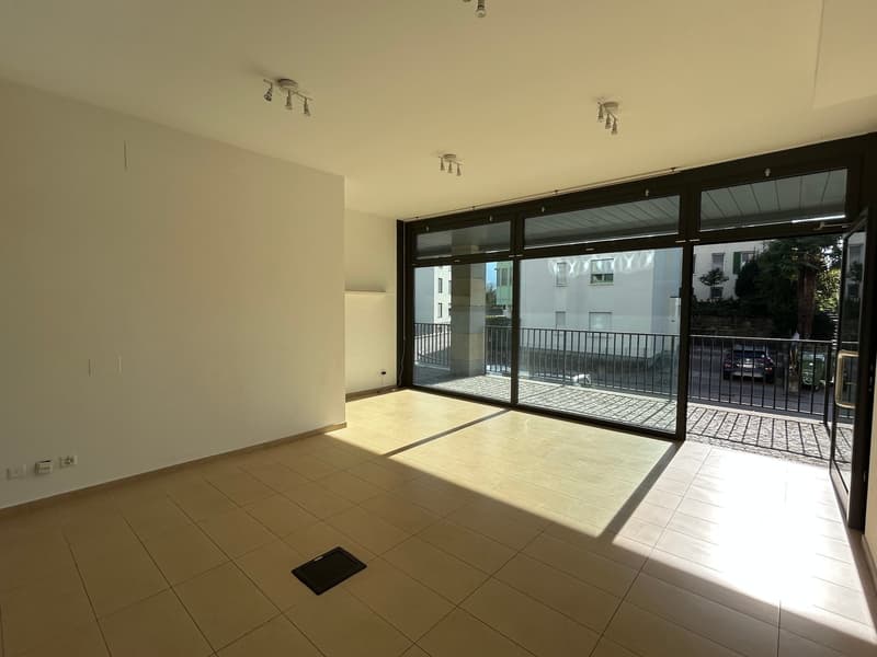 Locale Commerciale a Massagno – Disponibile Subito (3)