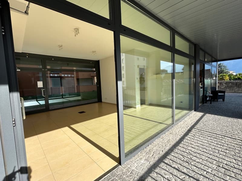 Locale Commerciale a Massagno – Disponibile Subito (1)