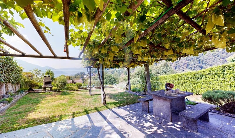 Reben. Garten. Lago. (4)