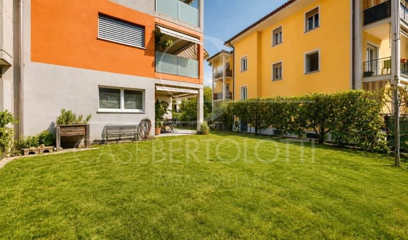 Giardino. Libertà. Finalmente a casa. (9)