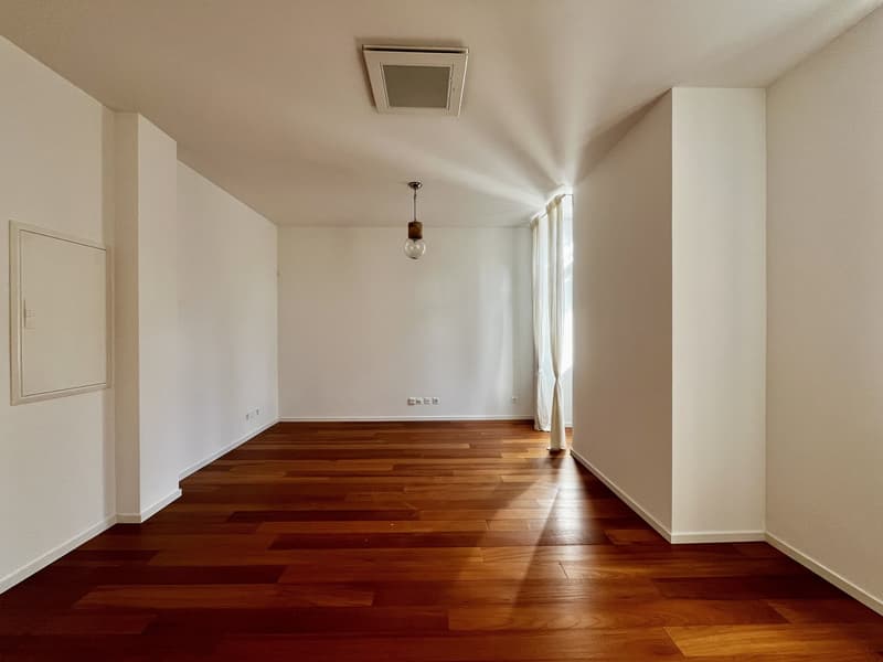 LUGANO - VASTE ET EXCLUSIF 2.5 PIÈCES À VENDRE (4)