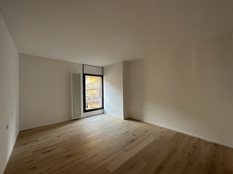 Vente d'un splendide appartement à Cassarate (7)