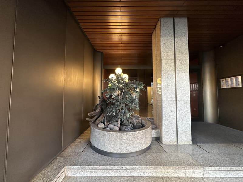 Vente d'un splendide appartement à Cassarate (12)