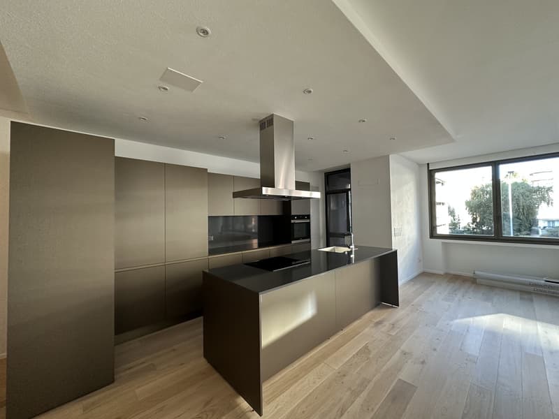 Vente d'un splendide appartement à Cassarate (5)