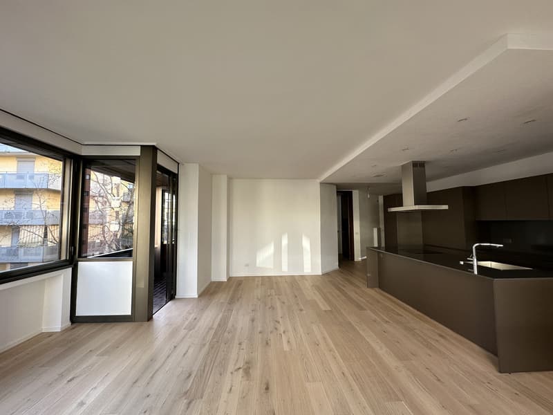 Vente d'un splendide appartement à Cassarate (6)