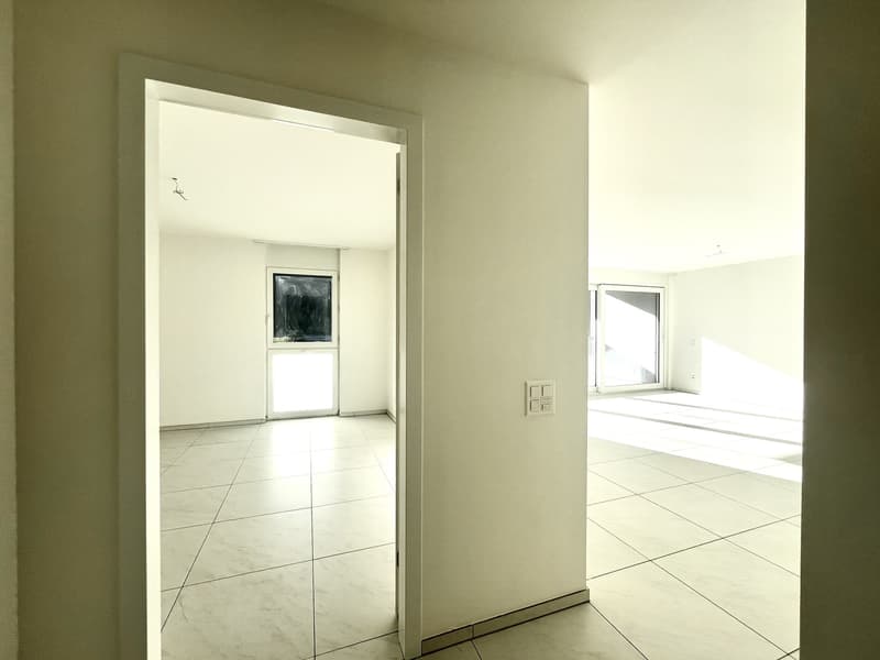 RIVERA - AFFITTASI 4.5 LOCALI CON TERRAZZA VETRATA (4)