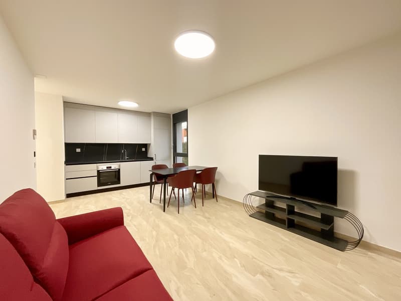 SORENGO - AFFITTASI NUOVO 2.5 LOCALI CON GRANDE TERRAZZA (2)