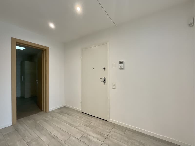 CASLANO - GROßZÜGIGES 6.5 ZIMMER-WOHNUNG MIT SCHWIMMBAD ZUM VERKAUF (12)