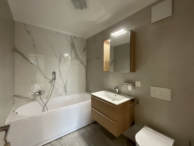 CASLANO - GROßZÜGIGES 6.5 ZIMMER-WOHNUNG MIT SCHWIMMBAD ZUM VERKAUF (8)