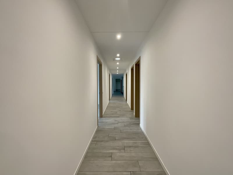 CASLANO - GROßZÜGIGES 6.5 ZIMMER-WOHNUNG MIT SCHWIMMBAD ZUM VERKAUF (6)