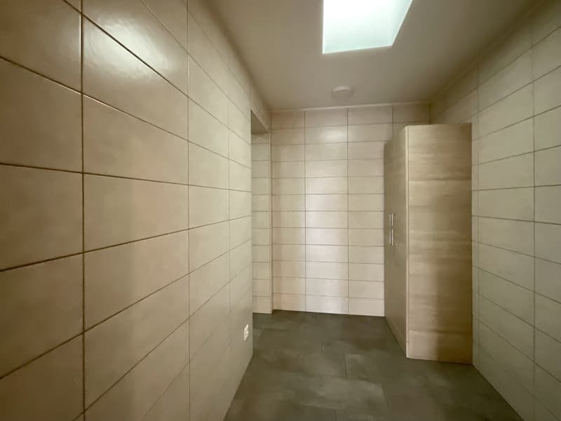 CASLANO - GROßZÜGIGES 6.5 ZIMMER-WOHNUNG MIT SCHWIMMBAD ZUM VERKAUF (2)