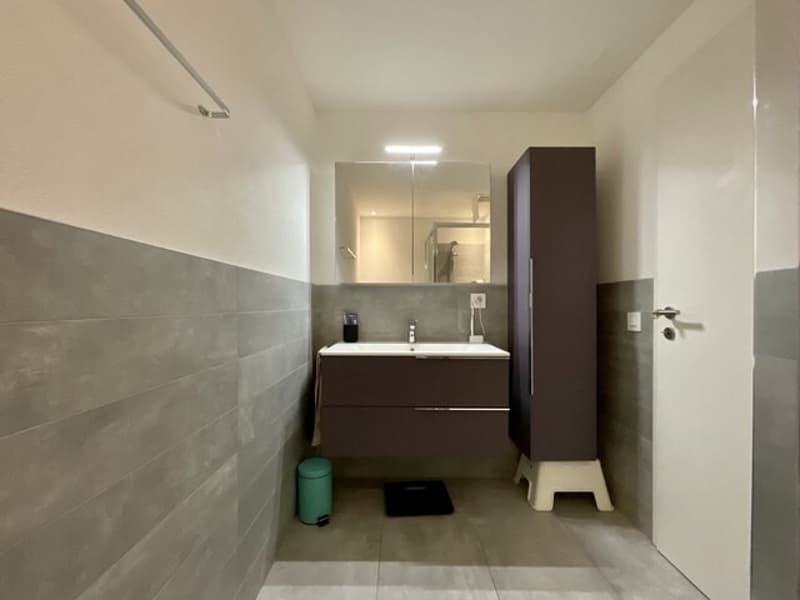 Moderne Wohnung mit großer Terrasse in Contone zu verkaufen (4)