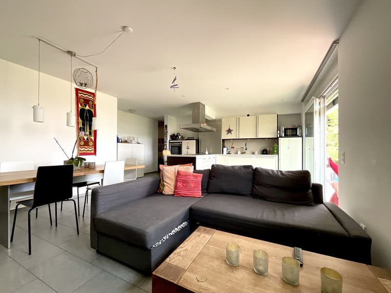 10 MIN FROM CASLANO - BEAUTIFUL HOUSE IN THE GREEN FOR SALE (3)