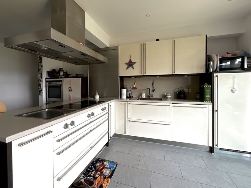 10 MIN FROM CASLANO - BEAUTIFUL HOUSE IN THE GREEN FOR SALE (5)