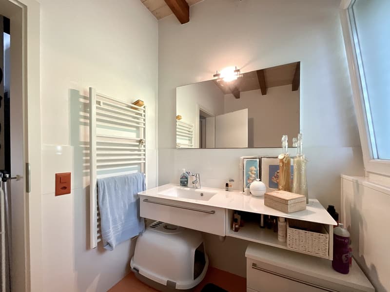 10 MIN FROM CASLANO - BEAUTIFUL HOUSE IN THE GREEN FOR SALE (8)