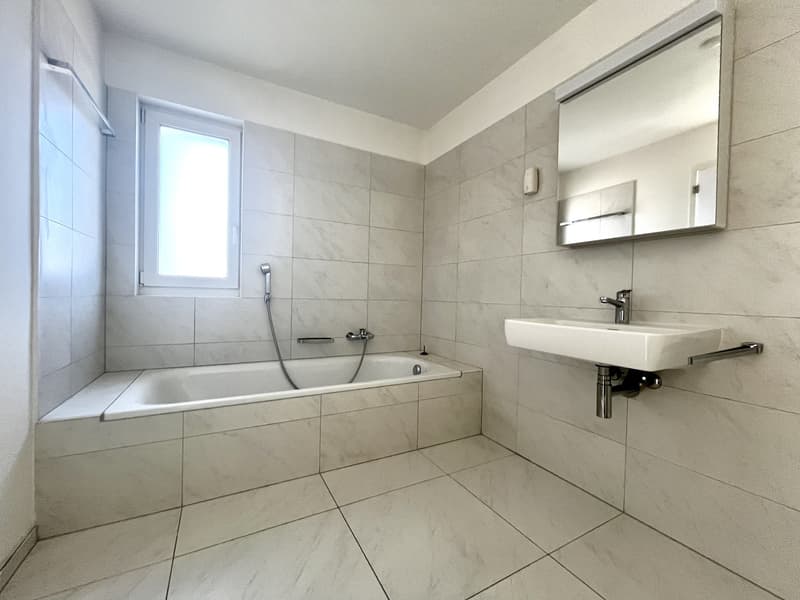 RIVERA - 4,5 PIÈCES À LOUER AVEC TERRASSE VITRÉE (12)