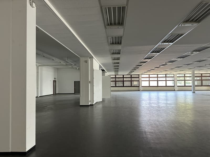 Vente d'un grand bâtiment commercial/industriel/entrepôt (3)