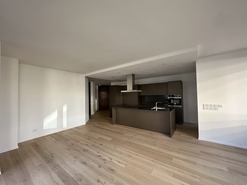 Vente d'un splendide appartement à Cassarate (4)