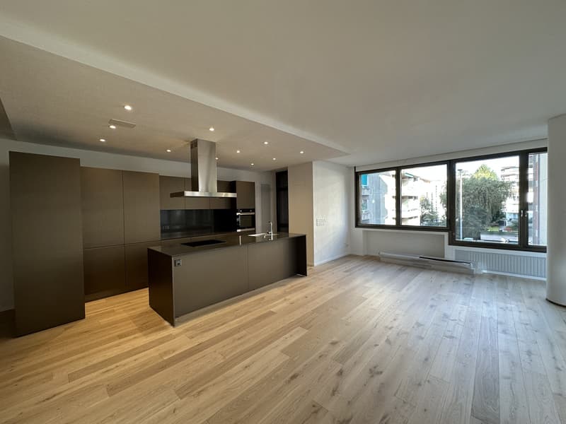 Vente d'un splendide appartement à Cassarate (2)