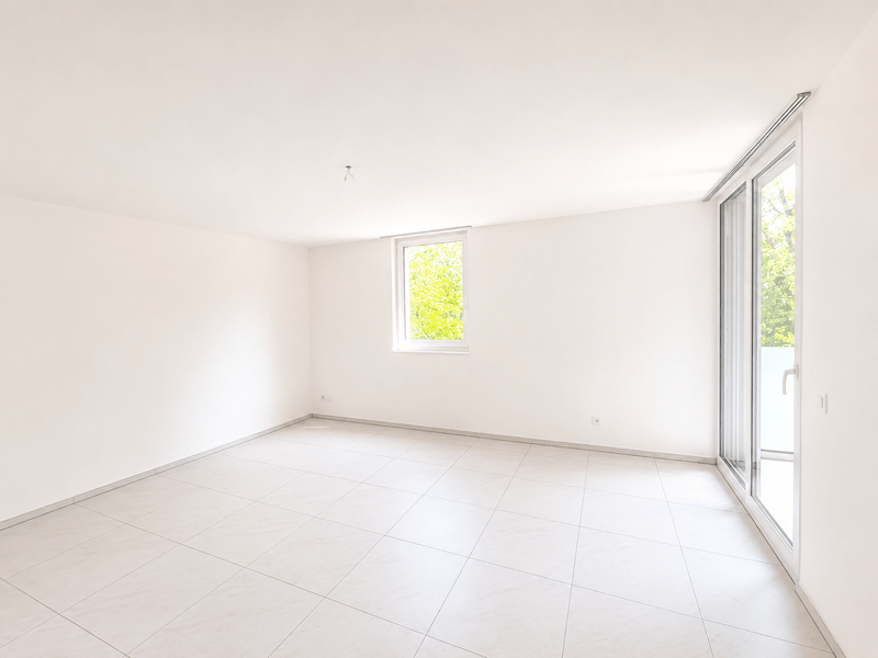 RIVERA - 4,5 Zimmer mit Terrasse zu vermieten (8)