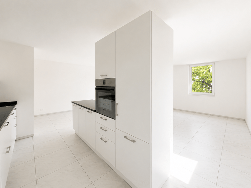 RIVERA - 4,5 Zimmer mit Terrasse zu vermieten (3)