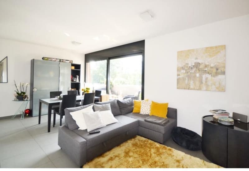 Rent a splendid furnished apartment with terrace (2)