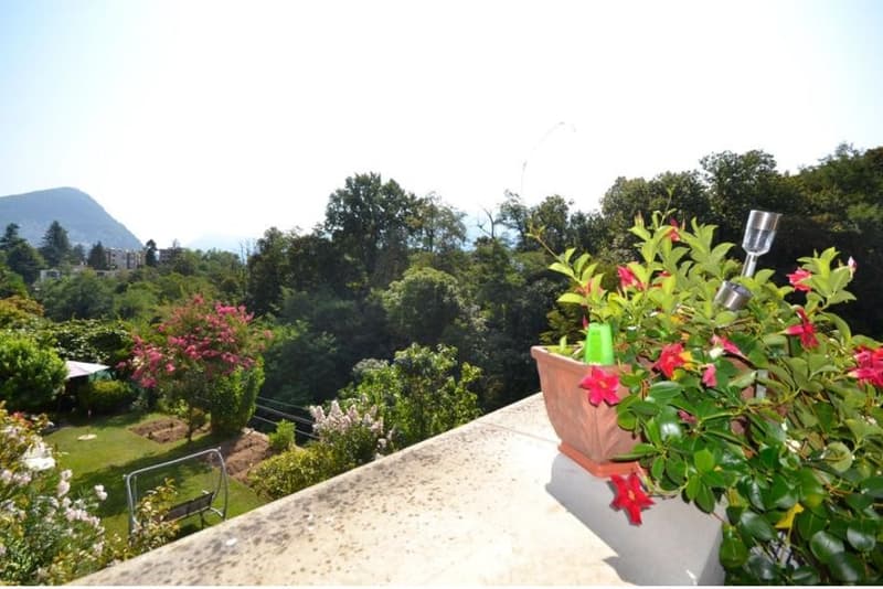 Rent a splendid furnished apartment with terrace (10)