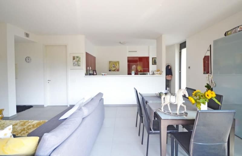 Rent a splendid furnished apartment with terrace (5)