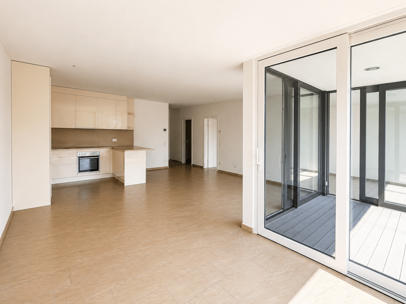 BELLINZONA - SUNNY 2.5 ROOM APARTMENT WITH TERRACE (2)
