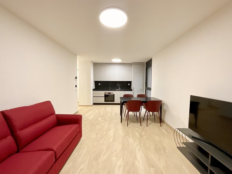 SORENGO - RENT NEW 2.5 ROOMS WITH LARGE TERRACE (1)
