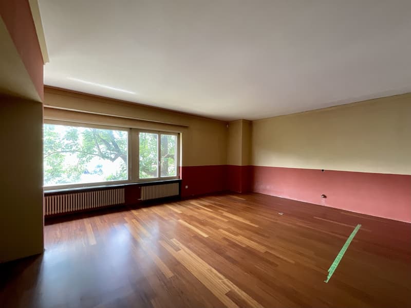 MORBIO INFERIORE - VENDESI VILLA DA RISTRUTTURARE (8)