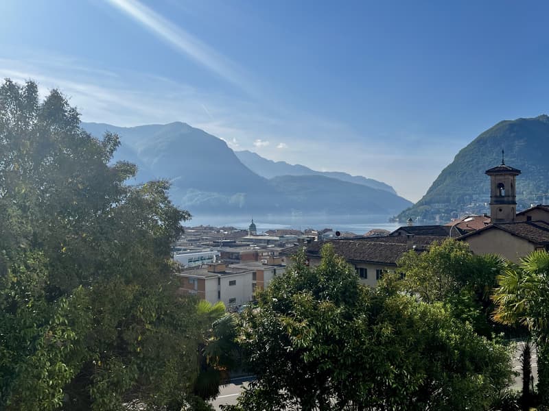 LUGANO - AFFITTASI SPAZIOSO UFFICIO VISTA LAGO DI 217 MQ (4)