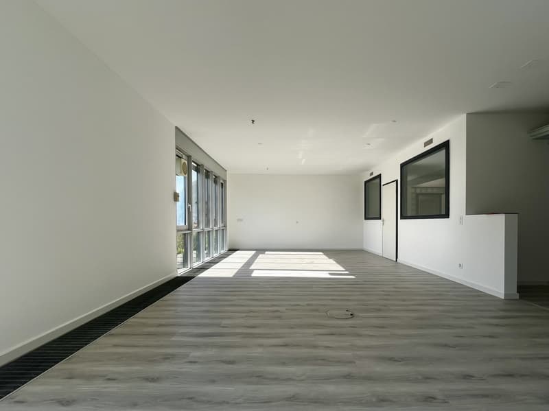 LUGANO - AFFITTASI SPAZIOSO UFFICIO VISTA LAGO DI 217 MQ (2)