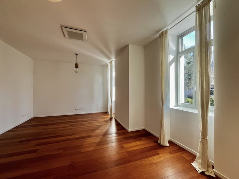 LUGANO - VENDESI AMPIO ED ESCLUSIVO 2.5 LOCALI (3)