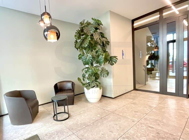 MASSAGNO - AFFITTASI LUSSUOSI 2.5 LOCALI ARREDATI (9)