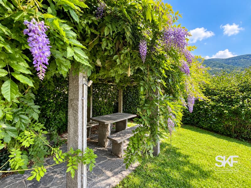 Giardino