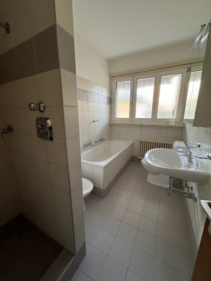 3.5 Room Apartment (5)