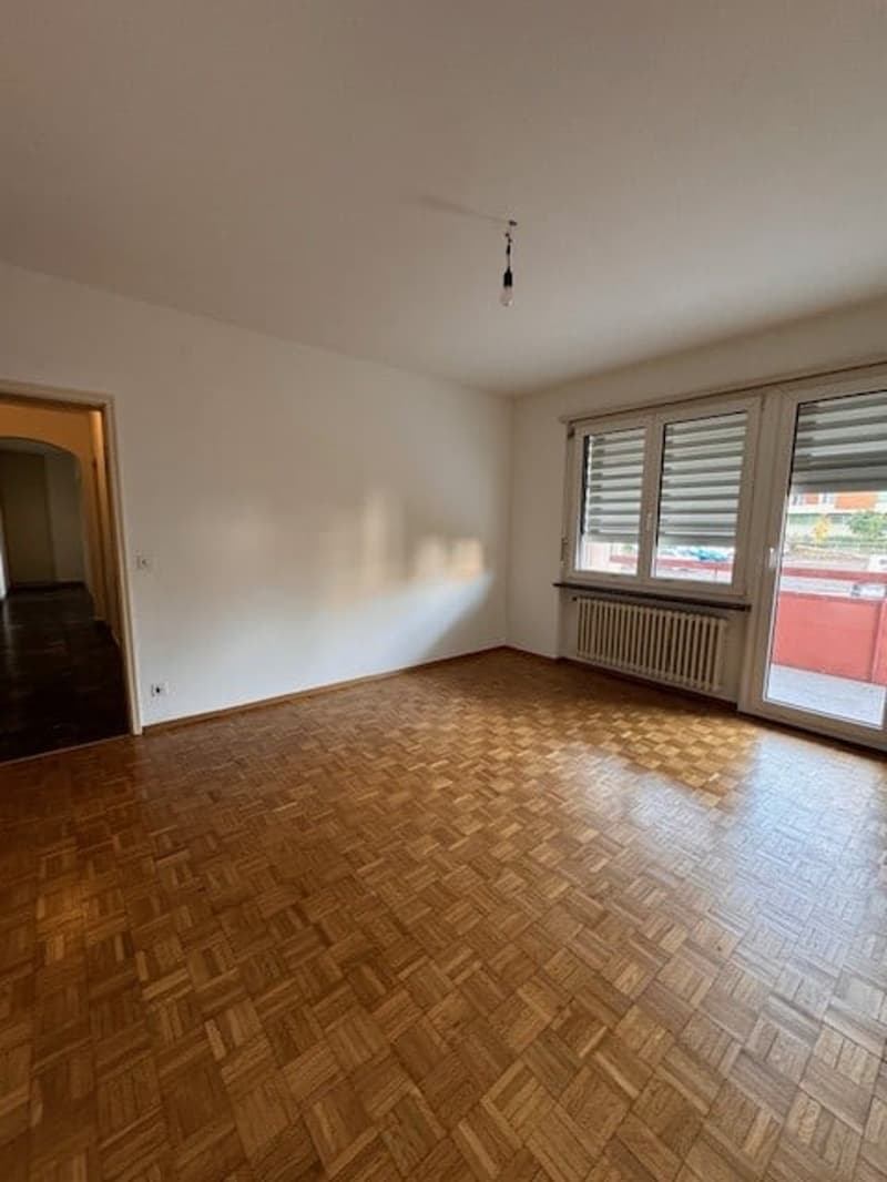 3.5 Room Apartment (2)