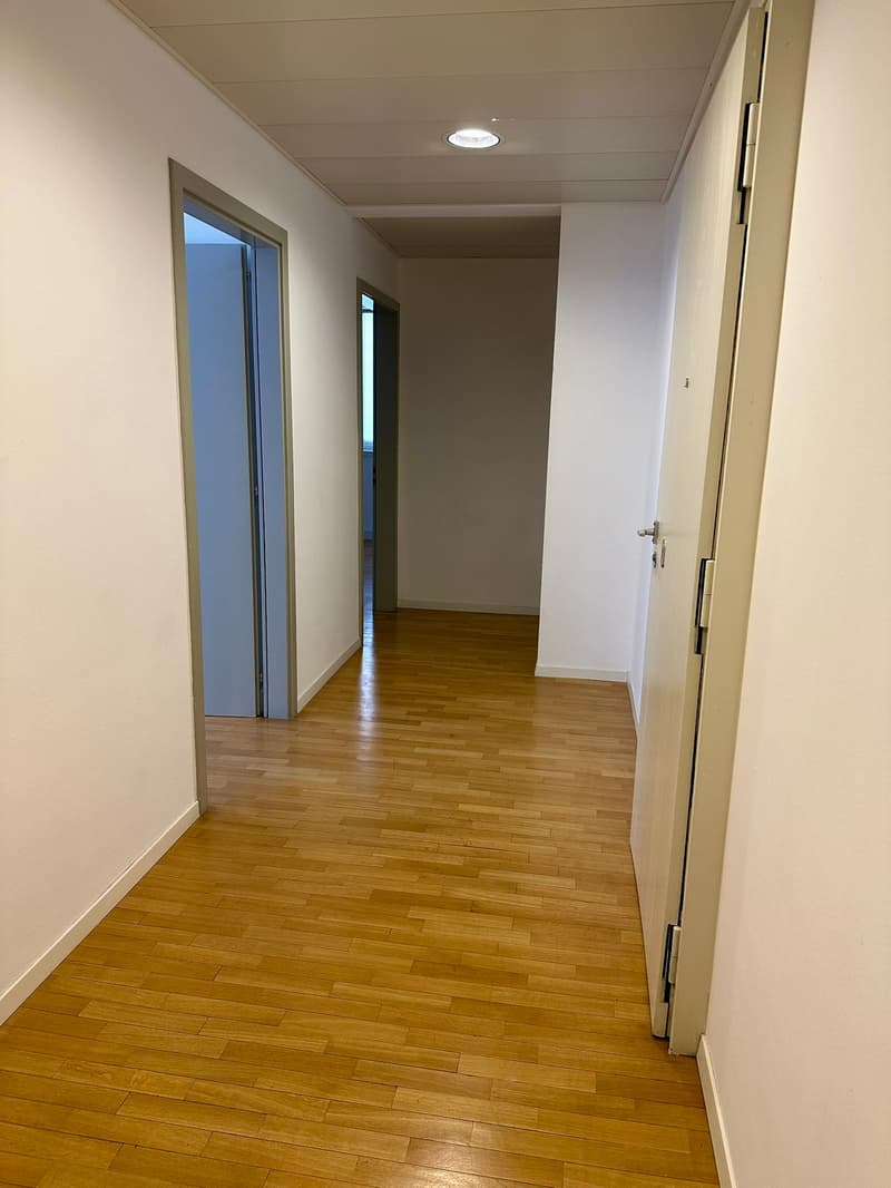 AFFITTASI UFFICIO IN CENTRO A LUGANO (10)