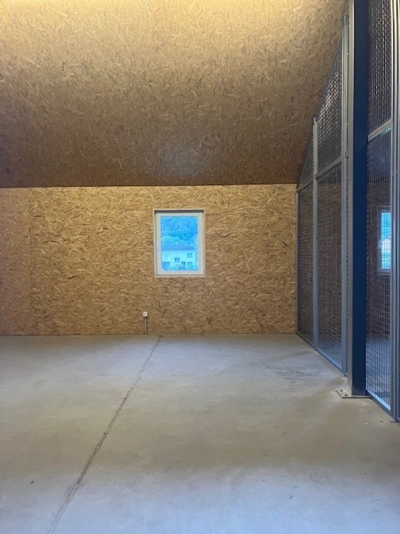 Empty room with unfinished ceiling and walls, concrete floor, square window, electrical outlet