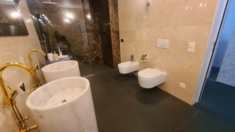 two round sinks, white toilet, separate bidet, shower area