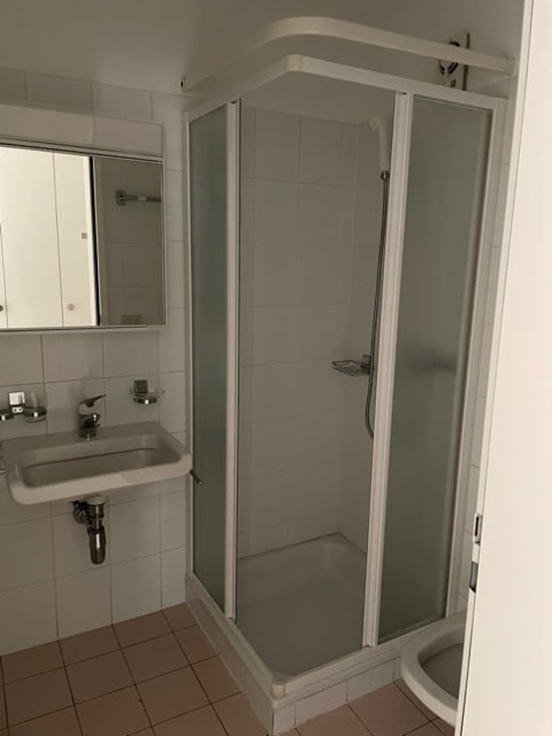 Mietwohnung 4.5 Zimmer in Gordola (13)