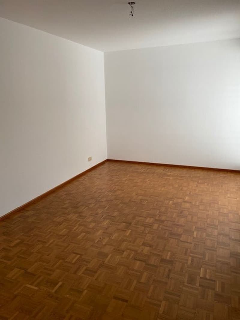 Mietwohnung 4.5 Zimmer in Gordola (8)