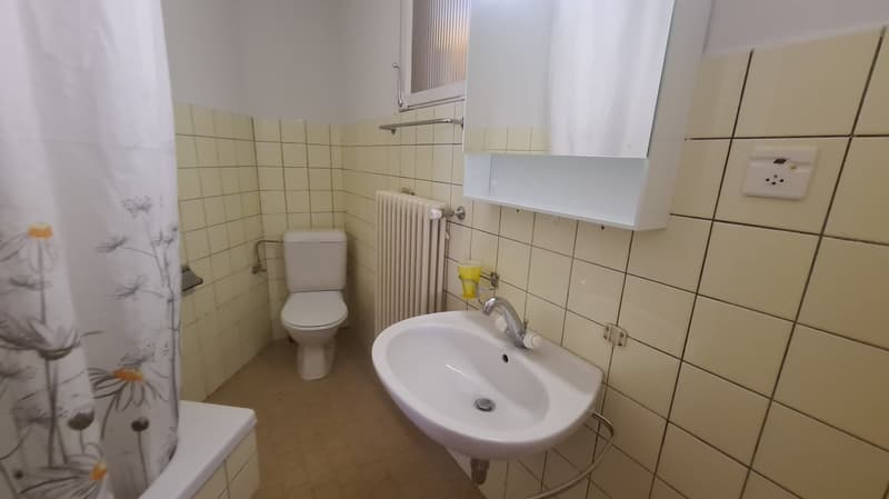 House Tiziana, 2.5 rooms in Ascona (9)