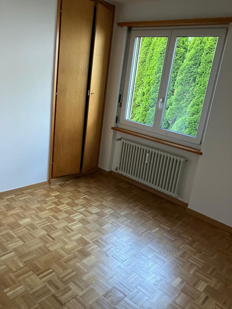 Affittasi casa di 2 appartamenti a Monte Brè (14)