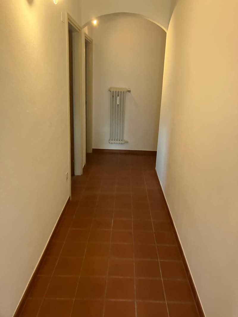 Affittasi casa di 2 appartamenti a Monte Brè (12)