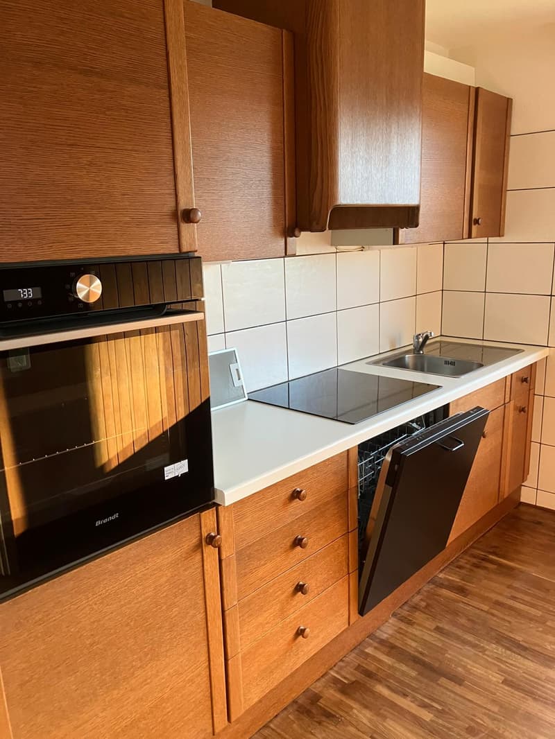 Affittasi casa di 2 appartamenti a Monte Brè (16)