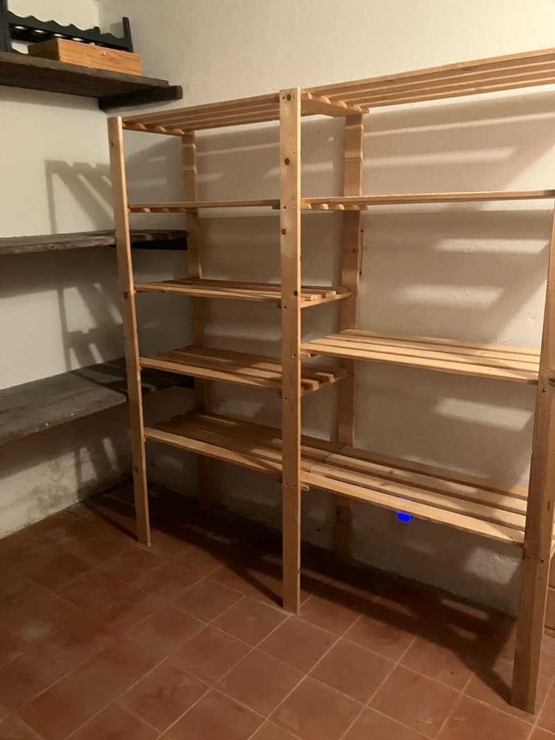 Affittasi casa di 2 appartamenti a Monte Brè (19)